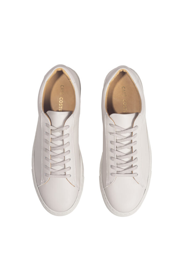 The CC Sneaker